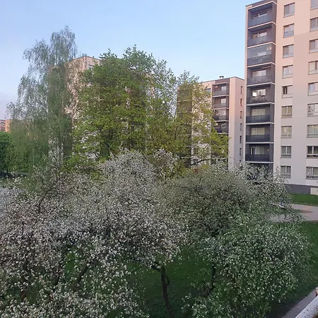 In * Vilnius
