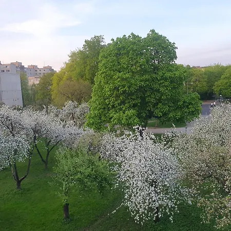 In Апартаменты *